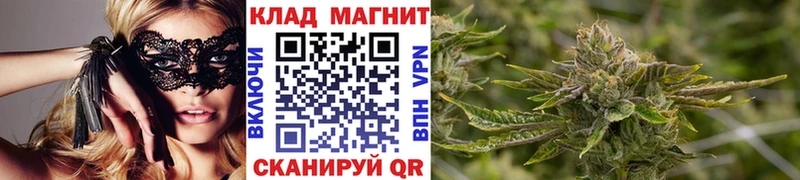 Где продают наркотики Рассказово Галлюциногенные грибы  ГАШИШ 