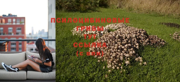 экстази Армянск