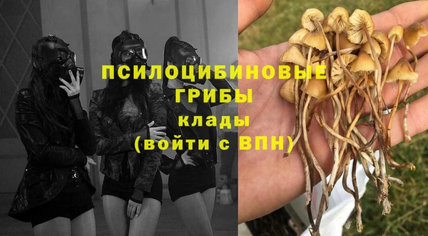 мдпв Сосновоборск